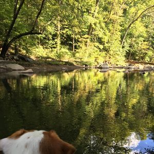 Meet your Posher, Gail